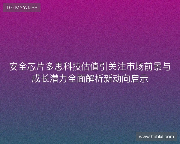 安全芯片多思科技估值引关注市场前景与成长潜力全面解析新动向启示